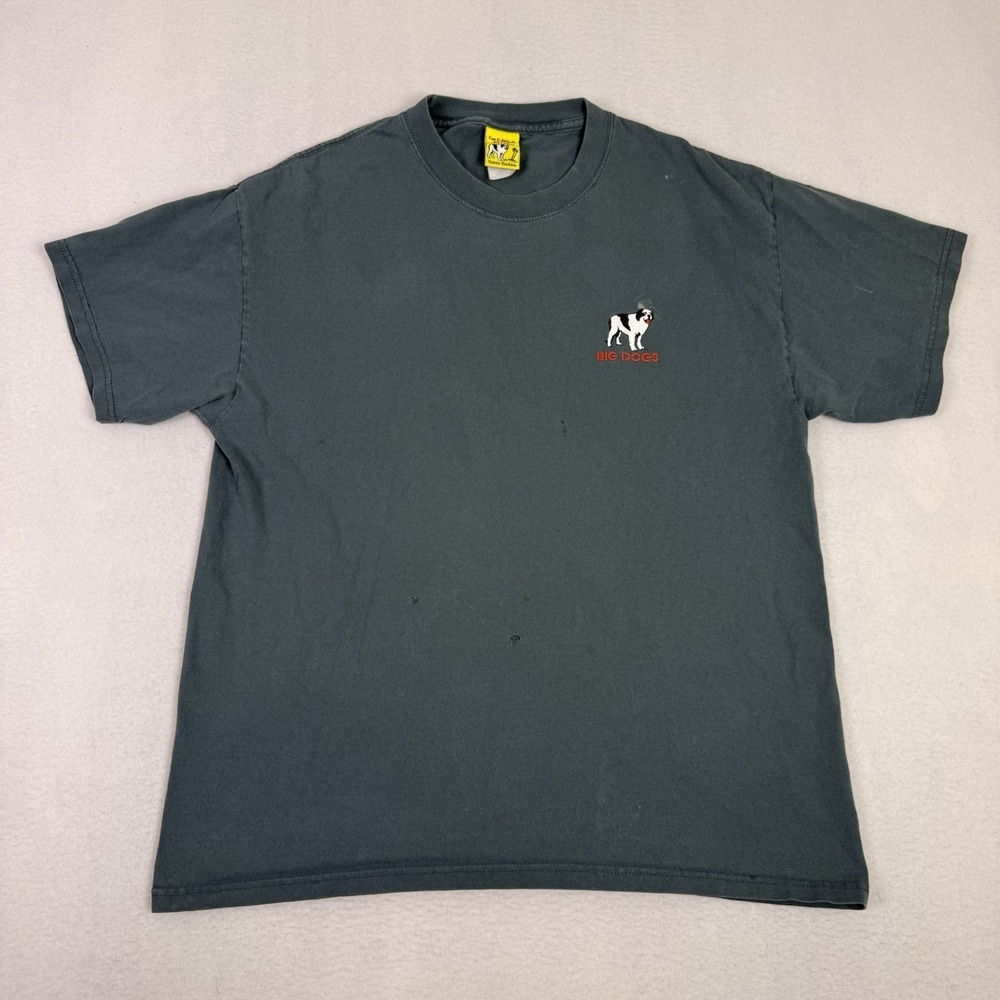 Big Dogs Its Five O'Clock Somewhere Shirt Mens Large Gray Beer Graphic Tee VTG